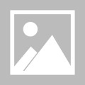 kaiyun中国官方网站- 布伦特福德创纪录签约，弗兰克瞄准英超金靴  